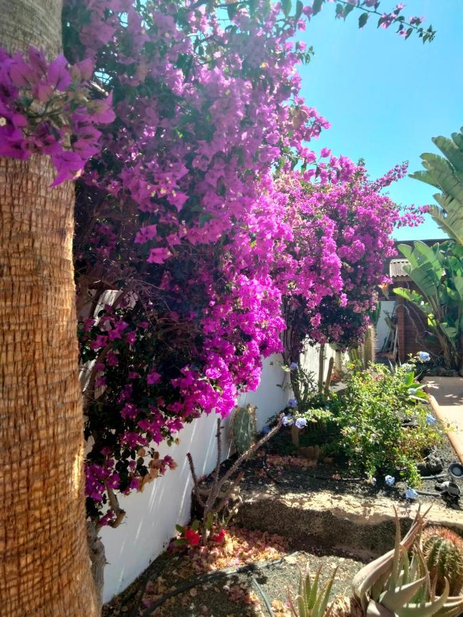 Villa Rosa Meravigliosa Con Piscina Interna Corralejo Zewnętrze zdjęcie